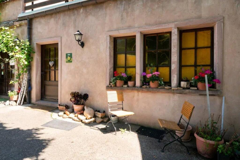 Gite L'Oeuf Ou La Poule, Parking Prive, Sur Domaine Viticole リボーヴィレ エクステリア 写真